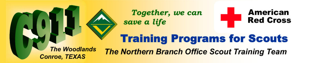 The NBO Scout Training Team Masthead